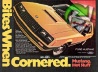 Mustang 1981 0.jpg
